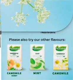 Pickwick Sterrenmunt Kruidenthee - 4 X 20 Zakjes -Thee Promotie Winkel 1091x1200 4