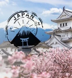 Soolong Japan Nr30 Cadeau Of Proefpakket Met 4 Luxe Japanse Theeen - Exclusieve Fukamushicha, Genmaicha Matcha Satsuki En Sencha - Als Relatiegeschenk, Proeverij Of Valentijnsdag - Assortiment 4stuks -Thee Promotie Winkel 1096x1200 5