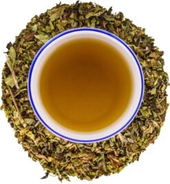 Into The Cycle Kruidenthee - Citroenmelisse Thee Biologisch - Losse Thee - 50 Gram Zak -Thee Promotie Winkel 1111x1200 5