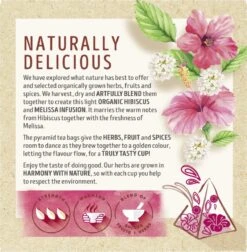 Lipton Hibiscus & Melissa Kruidenthee, Met De Zoete Smaak Van Hibiscus En De Frisse Smaak Van Melissa - 4 X 20 Zakjes - PL-EKO-03 -Thee Promotie Winkel 1175x1200 7