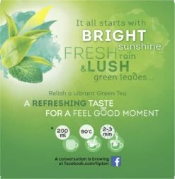 Lipton Intense Mint Groene Thee, Met De Verfrissende Smaak Van Groene Thee En Echte Muntblaadjes - 4 X 20 Zakjes - PL-EKO-03 -Thee Promotie Winkel 1176x1200 1