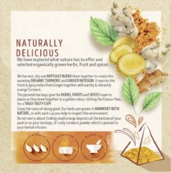 Lipton Turmeric & Ginger Kruidenthee, Met De Vurige, Verwarmende Smaak Van Gember En Kurkuma - 4 X 20 Zakjes - PL-EKO-03 -Thee Promotie Winkel 1187x1200 3