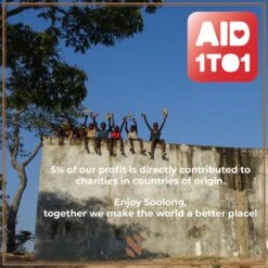 Soolong Taste Japan Nr33 Japanse Groene Thee - Fluweelzacht - Genmaicha, Matcha & Gepofte Rijst - Duurzame Losse Thee - Premium Thee Uit Japan - Blik 25gram 22 Soolong Taste Japan Nr33 Japanse Groene Thee - Fluweelzacht - Genmaicha, Matcha & Gepofte Rijst - Duurzame Losse Thee - Premium Thee Uit Japan - Blik 25gram -Thee Promotie Winkel 1199x1200 7