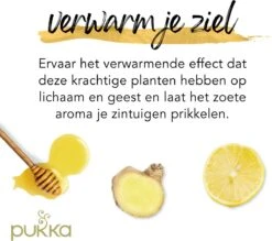 Pukka Lemon Ginger & Manuka Honey Thee, Met Gember, Citroen En Honing - 4 X 20 Zakjes - GB-BIO-05 -Thee Promotie Winkel 1200x1062 2