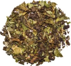 Into The Cycle Kruidenthee - Citroenmelisse Thee Biologisch - Losse Thee - 50 Gram Zak -Thee Promotie Winkel 1200x1118