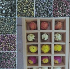 Cadeauset Pu-erh Thee Met Bloemen | 18 X 8 Gram Thee | Voor 18 Liter -Thee Promotie Winkel 1200x1176