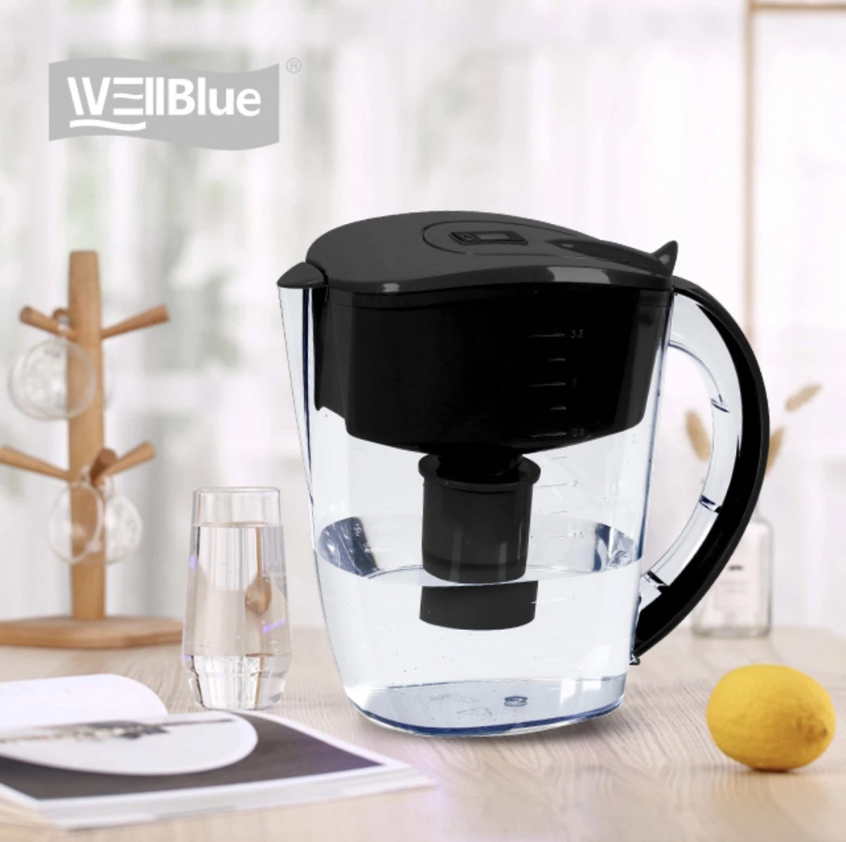 Alkaline WaterFilterkan - AlkaKan Voor Alkalisch/ Basisch Water | Met GRATIS PH-testpapier 3 Alkaline WaterFilterkan - AlkaKan Voor Alkalisch/ Basisch Water | Met GRATIS PH-testpapier - Afbeelding 3