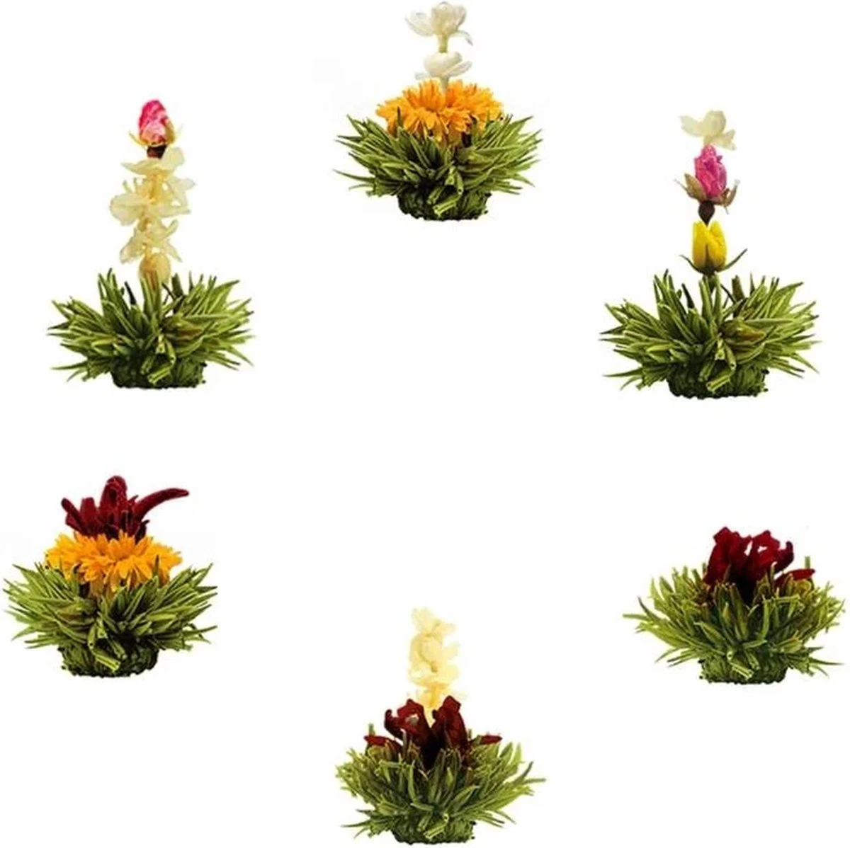 Theebloemen Boeket Groene Thee | 6 Stuks 1 Theebloemen Boeket Groene Thee | 6 Stuks