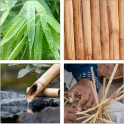 Relaxdays Theedoos 5 Vaks - Theekist - Theezakjeshouder - Bamboe - Voor Ca. 10 Theezakjes -Thee Promotie Winkel 1200x1200 203