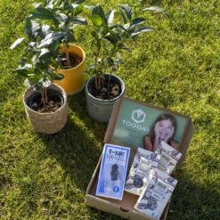 T-Sac Theefilters No.1 -Thee Promotie Winkel 1200x1200 230