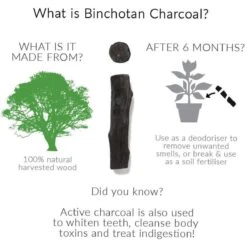 Black + Blum Binchotan Active Charcoal For Eau Good Water Bottles 4-pack -Thee Promotie Winkel 1200x1200 319