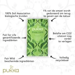 Pukka Three Mint Thee, Met Pepermunt, Groene Munt En Veldmunt - 4 X 20 Zakjes - GB-BIO-05 -Thee Promotie Winkel 1200x1200 437