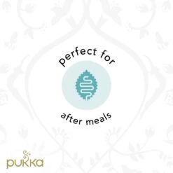 Pukka Three Mint Thee, Met Pepermunt, Groene Munt En Veldmunt - 4 X 20 Zakjes - GB-BIO-05 -Thee Promotie Winkel 1200x1200 439