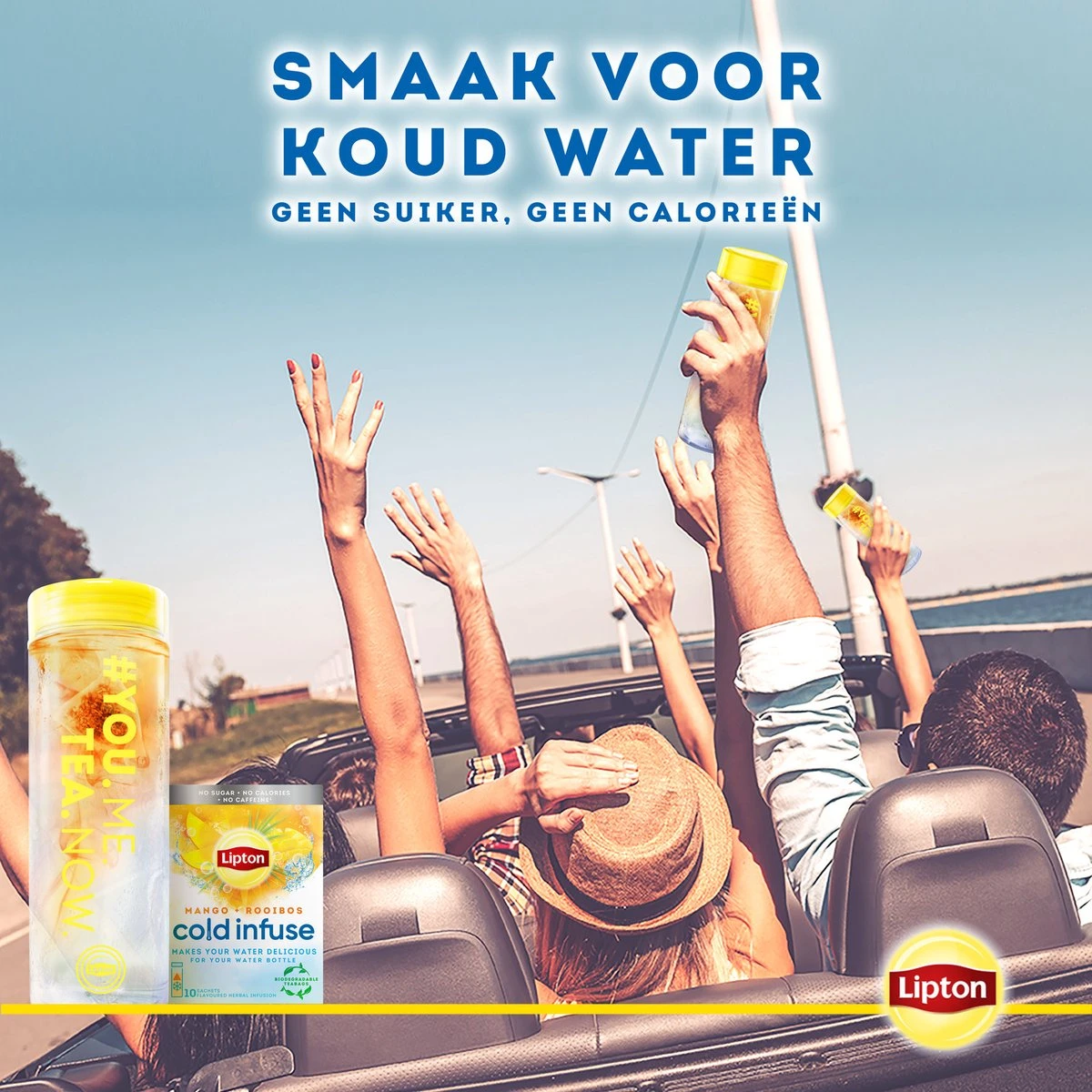 Lipton Cold Infuse Lemon & Camomile, Smaak Voor Koud Water Zonder Suiker En Calorieën - 6 X 10 Zakjes - NL-BIO-01 6 Lipton Cold Infuse Lemon & Camomile, Smaak Voor Koud Water Zonder Suiker En Calorieën - 6 X 10 Zakjes - NL-BIO-01 - Afbeelding 6