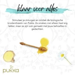 Pukka Original Kruidenthee Geschenkdoos - 9 Blends Biologische Kruidenthee, Ook Leuk Als Verjaardagscadeau - 45 Zakjes - Theedoos - GB-BIO-05 -Thee Promotie Winkel 1200x1200 584