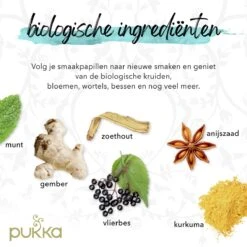 Pukka Original Kruidenthee Geschenkdoos - 9 Blends Biologische Kruidenthee, Ook Leuk Als Verjaardagscadeau - 45 Zakjes - Theedoos - GB-BIO-05 -Thee Promotie Winkel 1200x1200 588