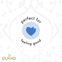 Pukka Feel New Thee, Met Anijs- En Venkelzaad - 4 X 20 Zakjes - GB-BIO-05 -Thee Promotie Winkel 1200x1200 592