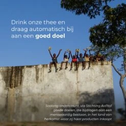 Soolong Sense China Nr11 Gember Thee - Verkwikkend & Krachtig - Gember & Citroengras - Duurzame Losse Thee - Premium Kruidenthee Uit China - Blik 25gram -Thee Promotie Winkel 1200x1200 606