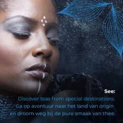 Soolong See Japan Nr32 Exclusieve Japanse Groene Thee - Umami - Fukamuchicha Uit Japan - Duurzame Losse Thee - Sencha Thee - Blik 35gram 13 Soolong See Japan Nr32 Exclusieve Japanse Groene Thee - Umami - Fukamuchicha Uit Japan - Duurzame Losse Thee - Sencha Thee - Blik 35gram -Thee Promotie Winkel 1200x1200 612