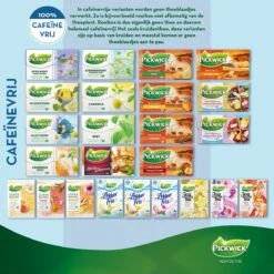 Pickwick Spices Minty Morocco Kruiden Thee - 12 X 20 Zakjes -Thee Promotie Winkel 1200x1200 673