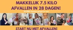 TeaTox™ 28 Dagen Afvallen Detox - Thee - Detox + E-book 30 Recepten -Thee Promotie Winkel 1200x489