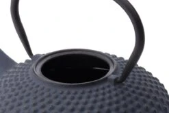 Bredemeijer - Theepot Xilin 1,25L Gietijzer Blauw 11 Bredemeijer - Theepot Xilin 1,25L Gietijzer Blauw -Thee Promotie Winkel 1200x800 10