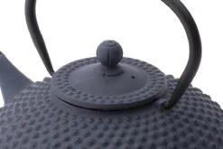 Bredemeijer - Theepot Xilin 1,25L Gietijzer Blauw 12 Bredemeijer - Theepot Xilin 1,25L Gietijzer Blauw -Thee Promotie Winkel 1200x800 11