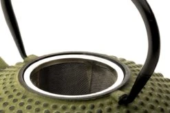 Bredemeijer - Theepot Xilin 1,25L Gietijzer Groen -Thee Promotie Winkel 1200x800 18