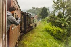 Teamasters Pure & Blends Mixbox - 6 X 60 Gram - Biologische Losse Thee - Rooibos Thee - Munt Thee - Citroen Thee - Groene Thee - Jasmijn Thee - Zwarte Thee - Oolong Thee - IJsthee - Zomer -Thee Promotie Winkel 1200x800 73