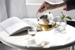 Viva Scandinavia Bjorn Theepot - Glas - Met Filter - 1,2 L - Transparant -Thee Promotie Winkel 1200x807