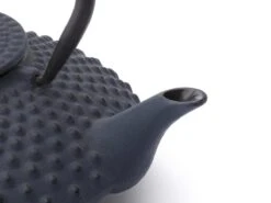 Bredemeijer - Theepot Xilin 1,25L Gietijzer Blauw 14 Bredemeijer - Theepot Xilin 1,25L Gietijzer Blauw -Thee Promotie Winkel 1200x900 8