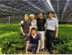 Matcha Latte - 50 Gram - Maak De Lekkerste Latte's -Thee Promotie Winkel 1200x911 2