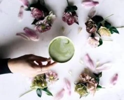 Matcha Thee Starters Kit - Alles Wat U Nodig Heeft Voor De Perfecte Japanse Matcha! Vandaag Besteld, Morgen In Huis! ✔ Gratis Matcha Boek Bij Uw Bestelling! 23 Matcha Thee Starters Kit - Alles Wat U Nodig Heeft Voor De Perfecte Japanse Matcha! Vandaag Besteld, Morgen In Huis! ✔ Gratis Matcha Boek Bij Uw Bestelling! -Thee Promotie Winkel 1200x960 2