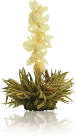 Creano Theebloemen Geschenkset Kadoverpakking Theebloemen En Glazen Theekan - Witte Theebloemen En Zwarte Theebloemen (6 Stuks) -Thee Promotie Winkel 682x1200