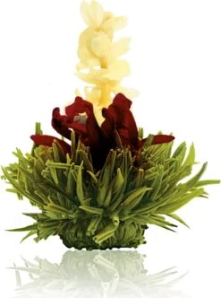 Creano Theebloemen Pakket Groene Thee - Fruitsmaken - 6 Stuks - -Thee Promotie Winkel 893x1200 2