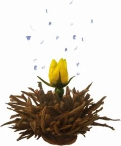 Creano Geschenkset Theebloemen (6 Stuks) En Glazen Theekan -Thee Promotie Winkel 994x1200